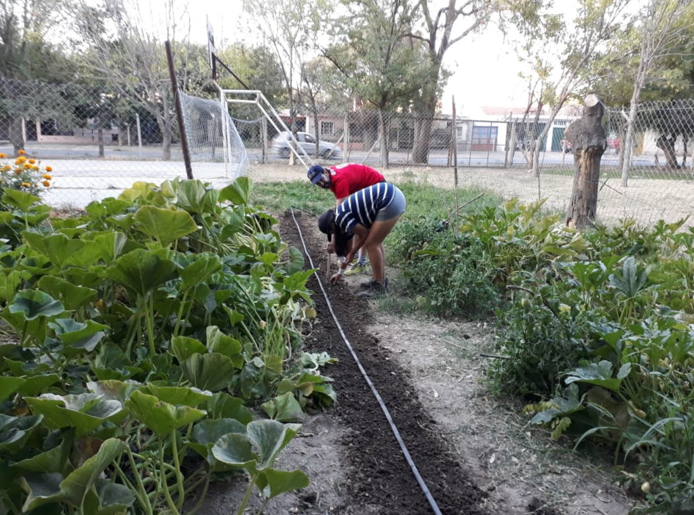 LOS ESTUDIANTES DE LA HUERTA CUENTAN SU EXPERIENCIA